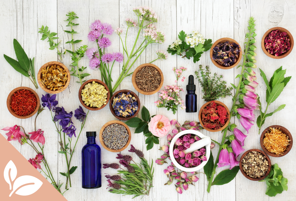 huiles essentielles, plantes biologiques, produits de beauté bio